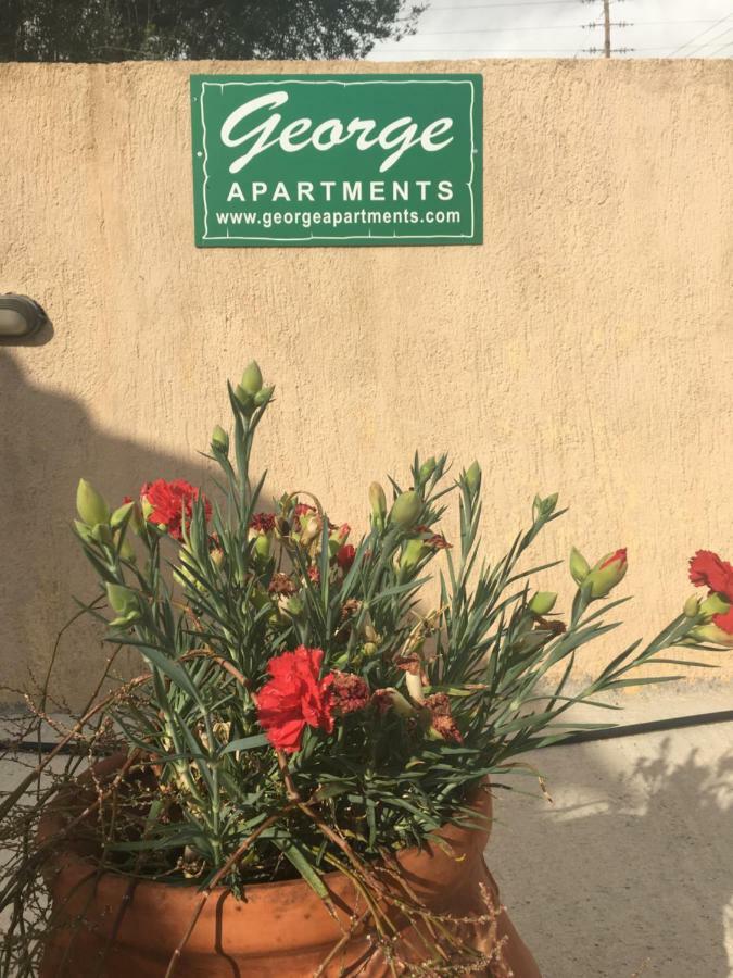 George Apartments Lourdata (Kefalonia) Exterior photo